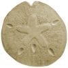 Sand Dollar Stepping Stone Mold - 15.5 Inch Round Concrete Garden Decor Mold